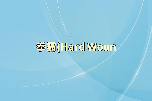 拳霸(Hard Woun